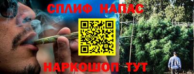 индика Берёзовский