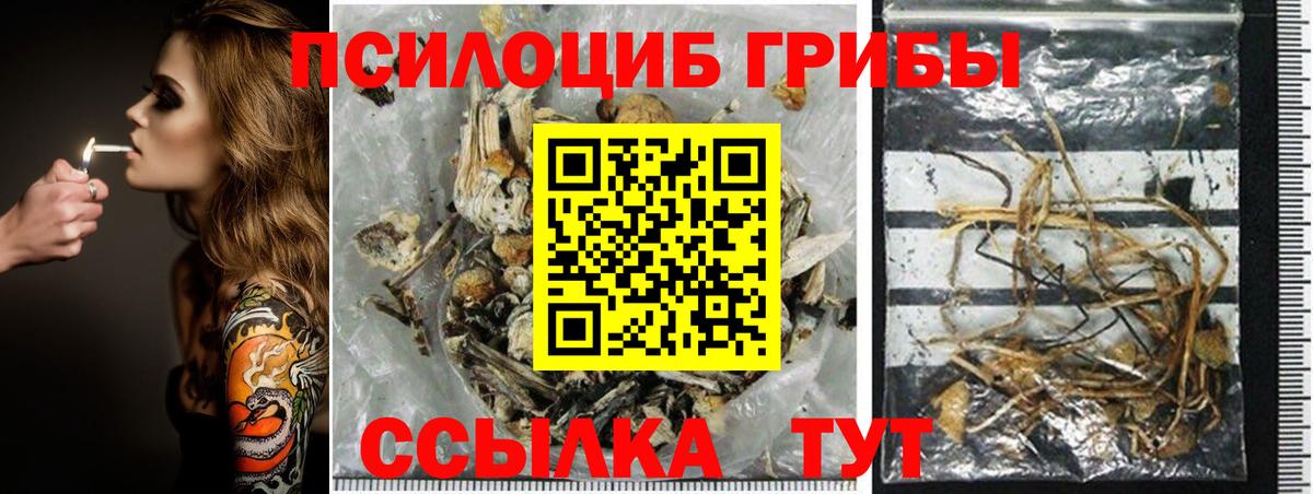 Галлюциногенные грибы мицелий Жуковский